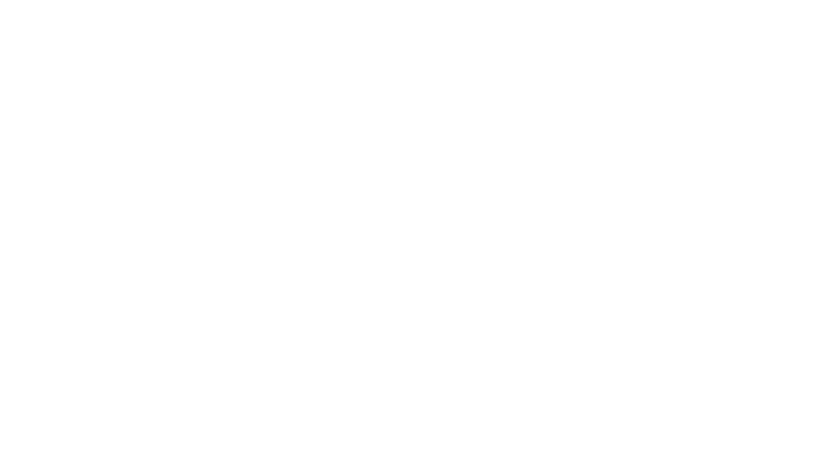 Paint Protection DFW Logo