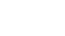 Paint Protection DFW Logo