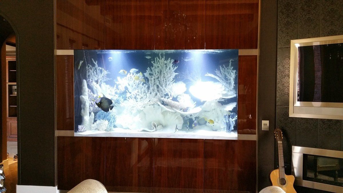 Southwest Seas image