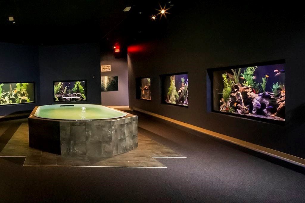 Southwest Seas image