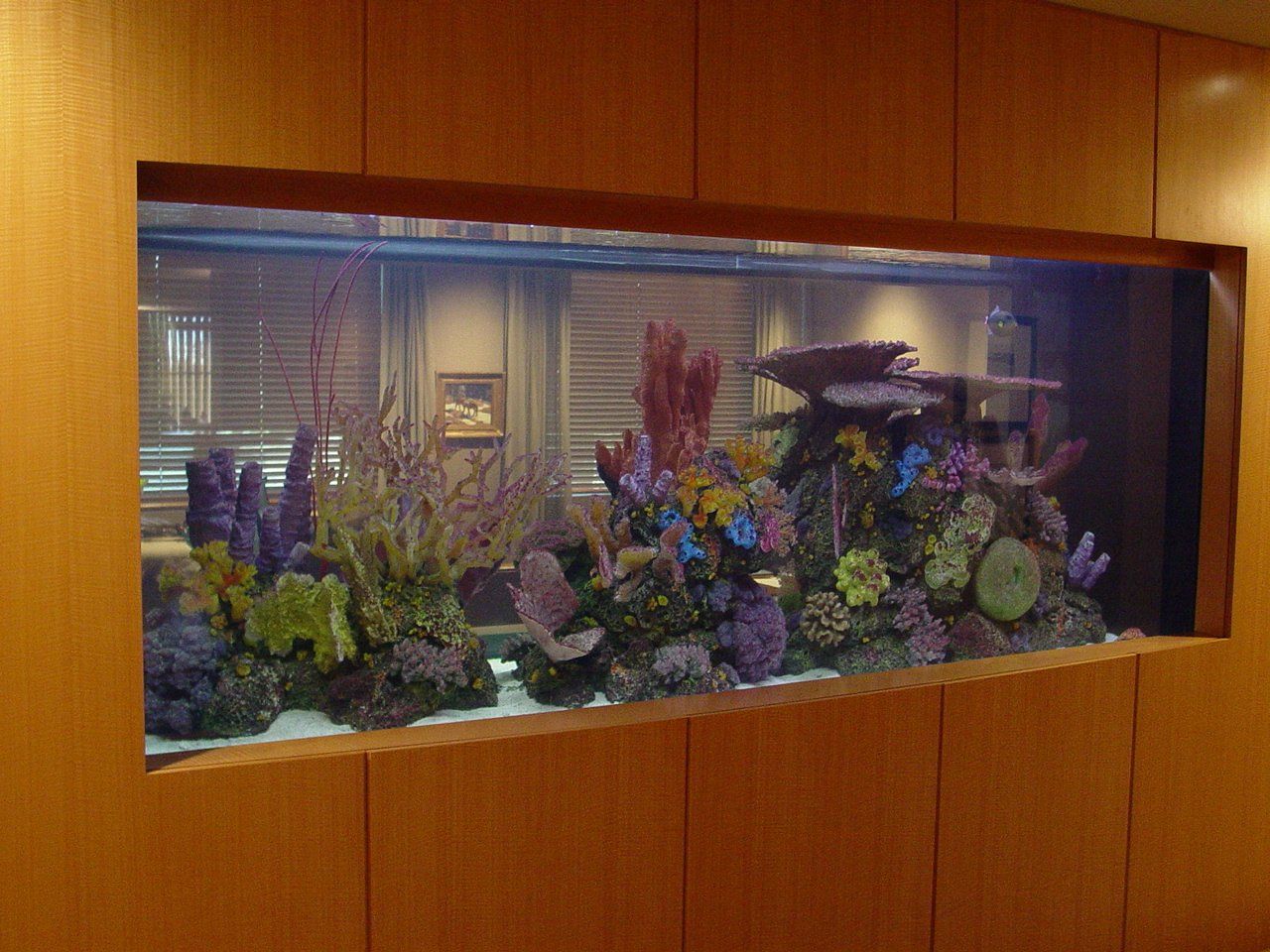 Southwest Seas image