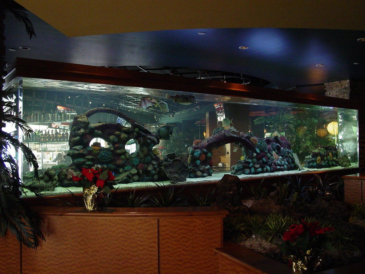 Southwest Seas image