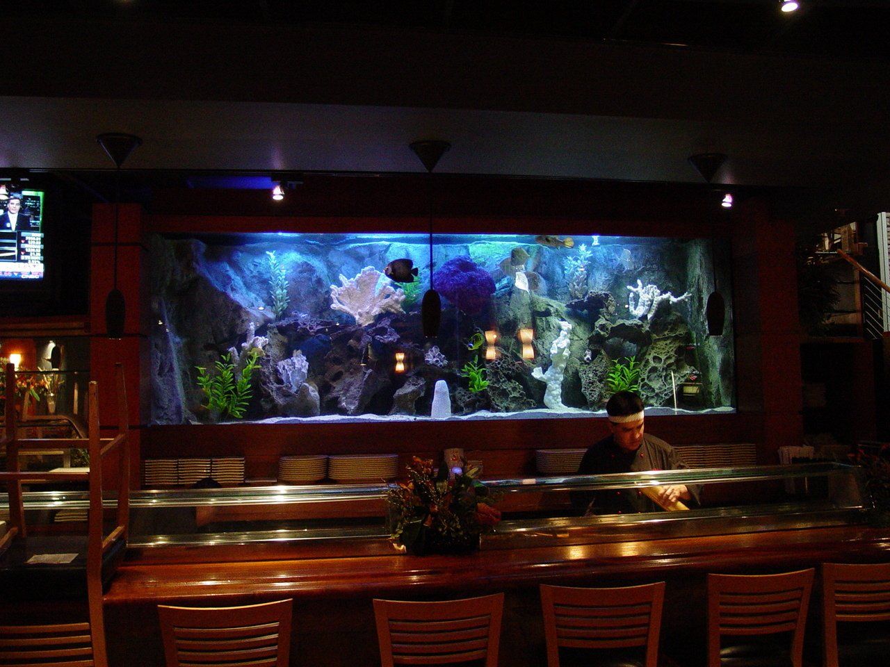 Southwest Seas image