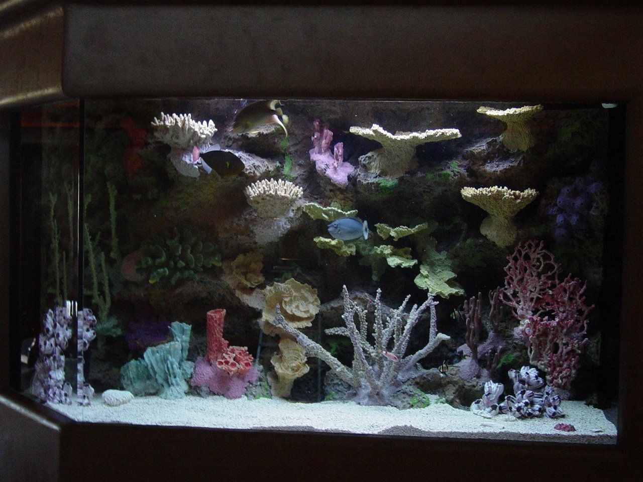 Southwest Seas image