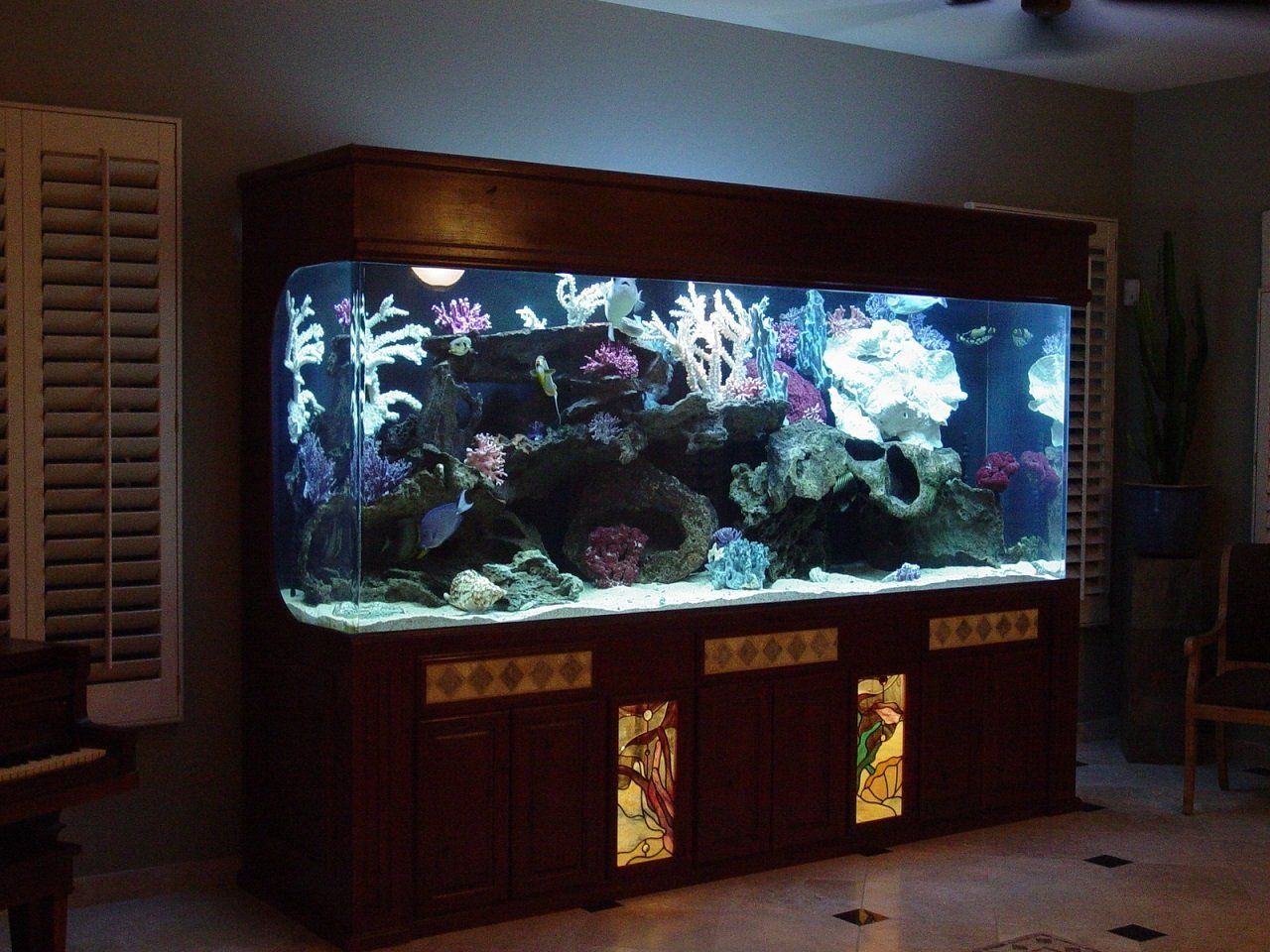 Southwest Seas image