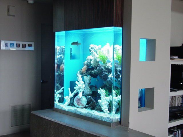 Southwest Seas image