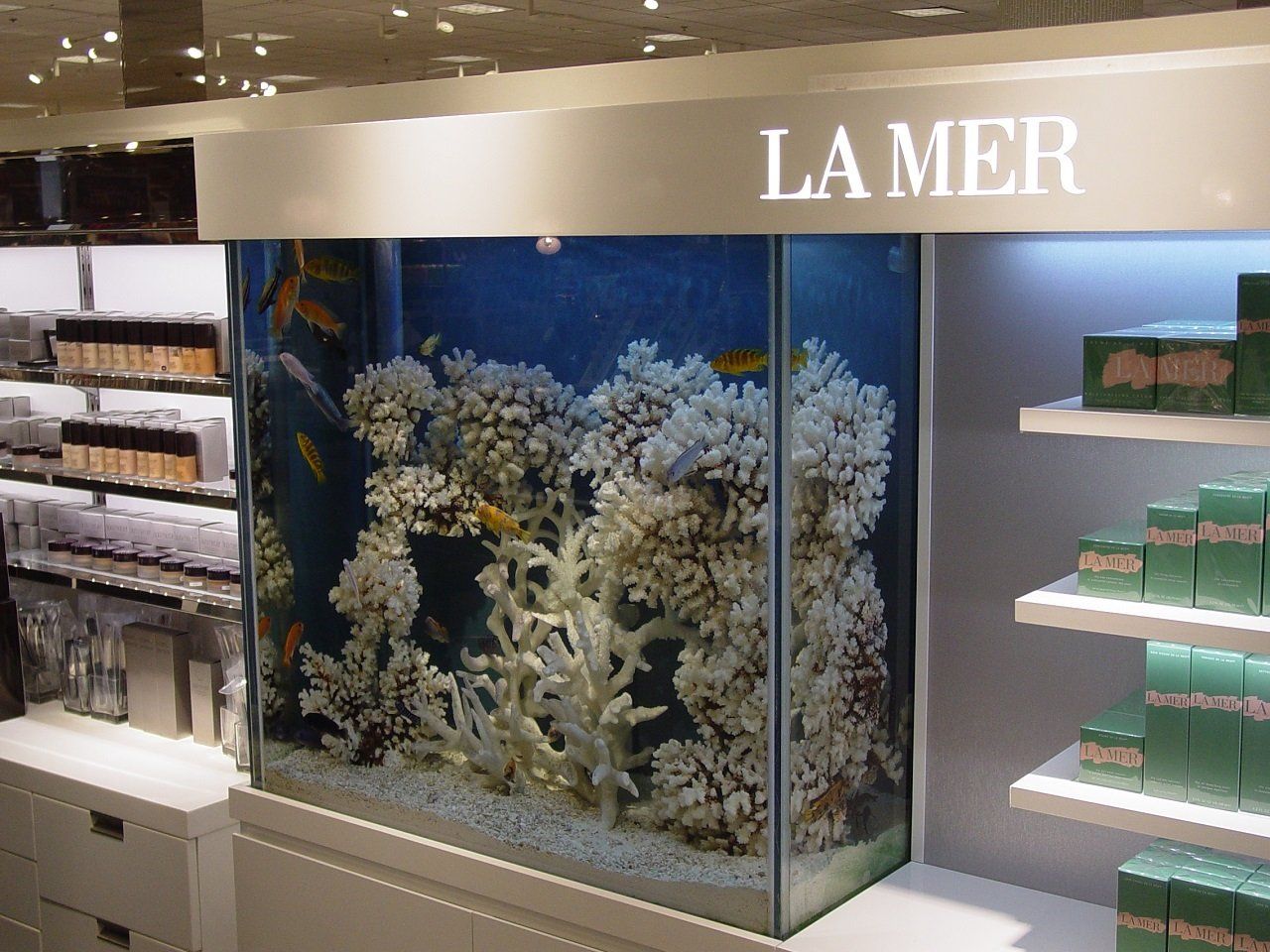 Southwest Seas image