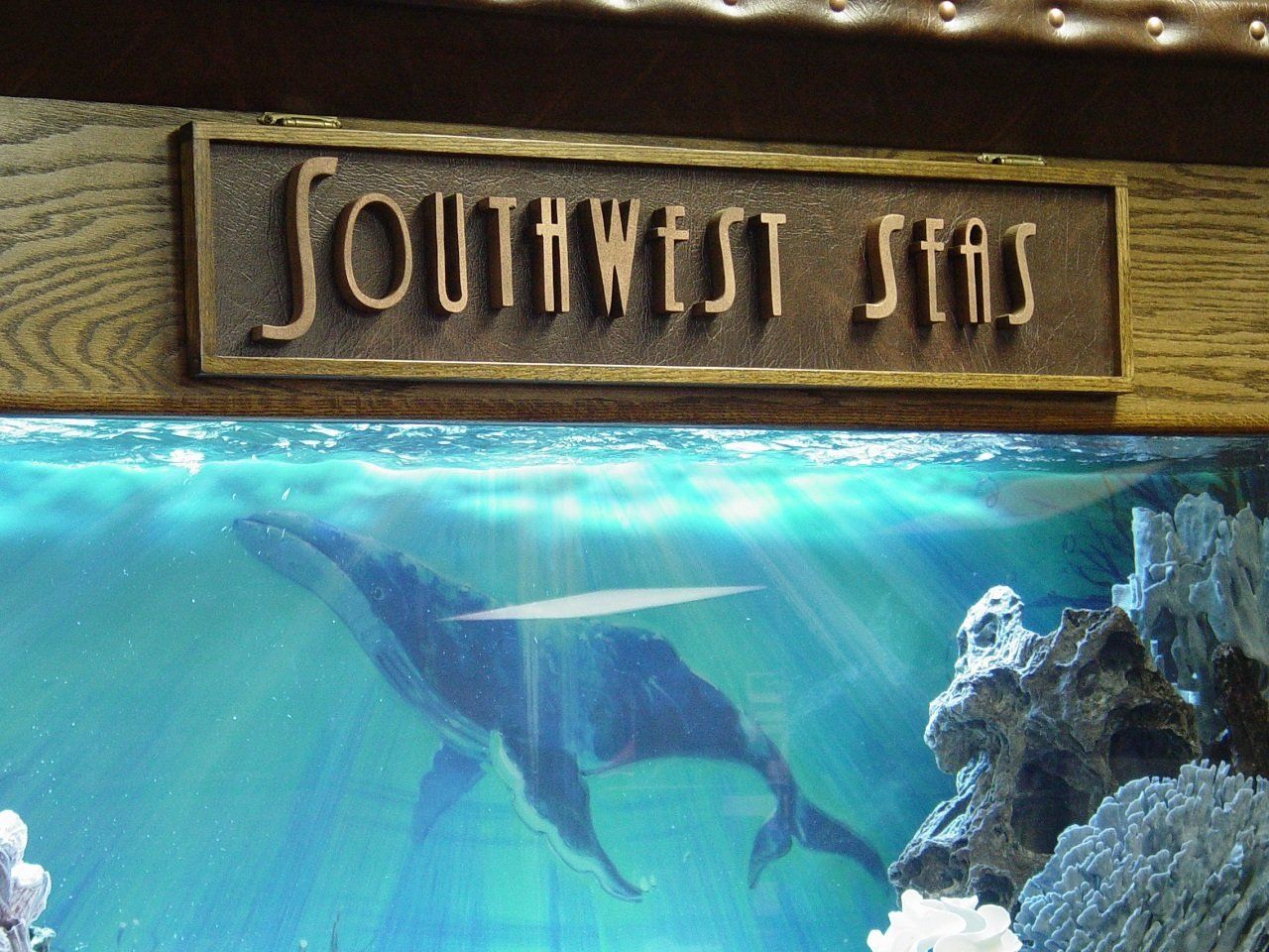 Southwest Seas image