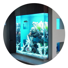 fish tank