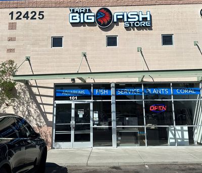 Big fish shop stores near me