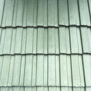 Forest Green Riviera