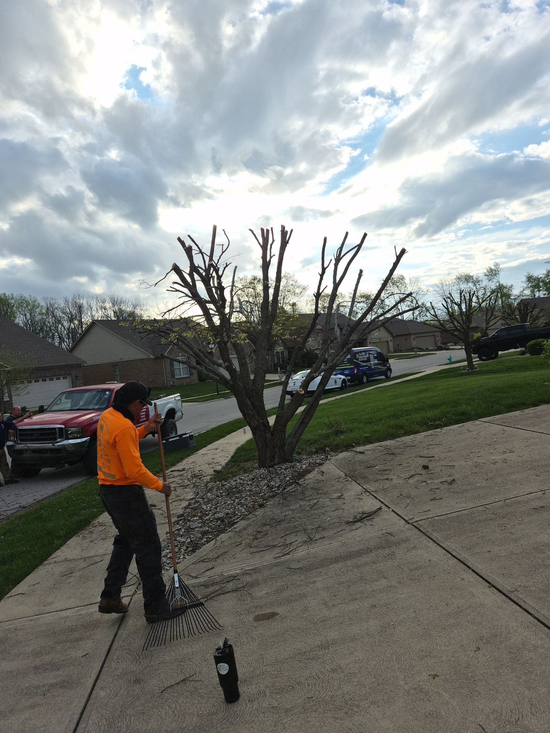 Person in an orange jacket trimming a small tree in a suburban driveway under a cloudy sky