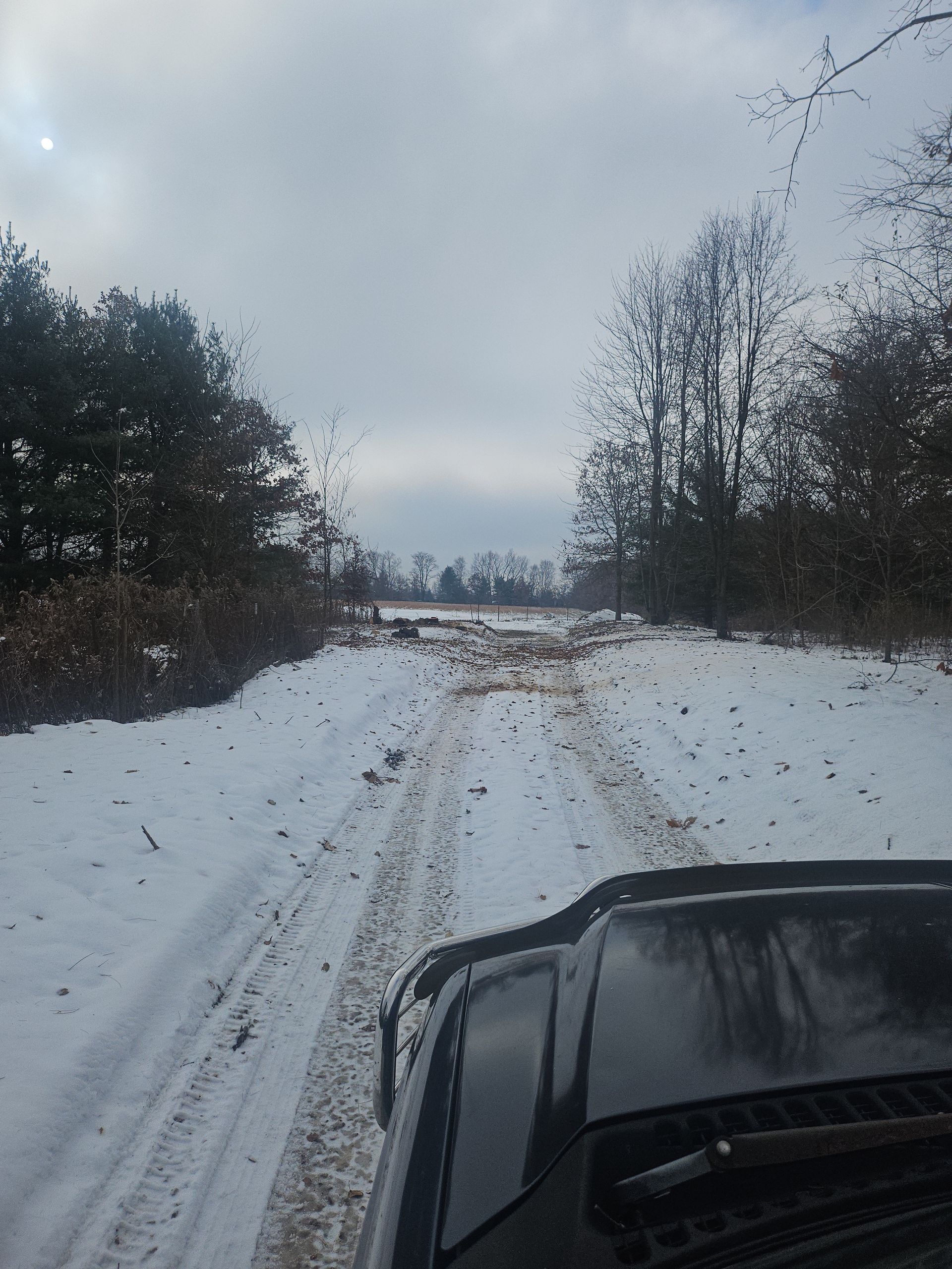 Snowy dirt road through trees, viewed from inside a vehicle on an overcast day.