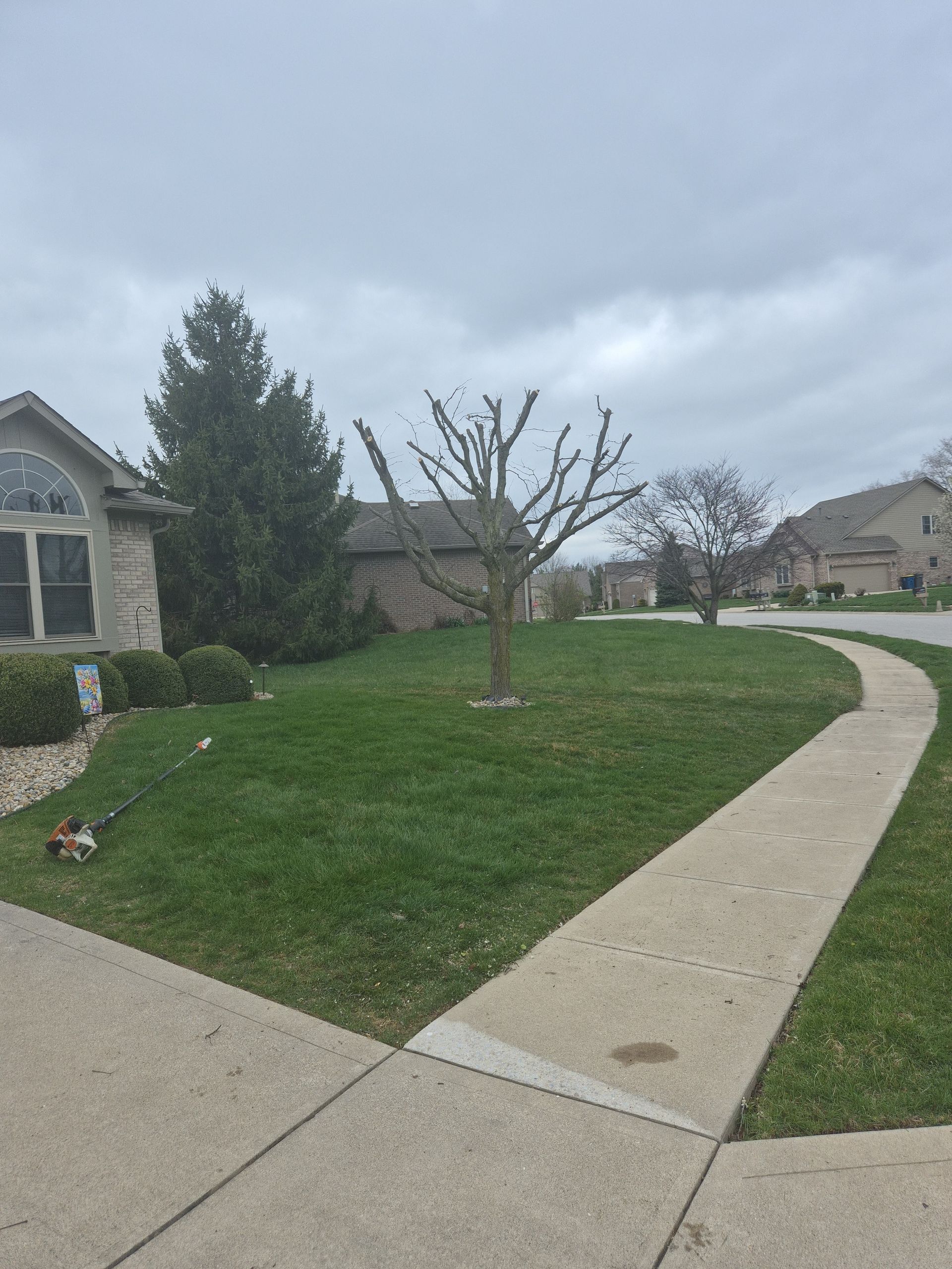 Suburban sidewalk curving past a green lawn and leafless tree beside a house under cloudy skies