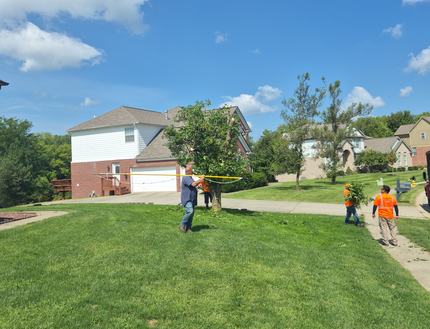 E White's Tree Service