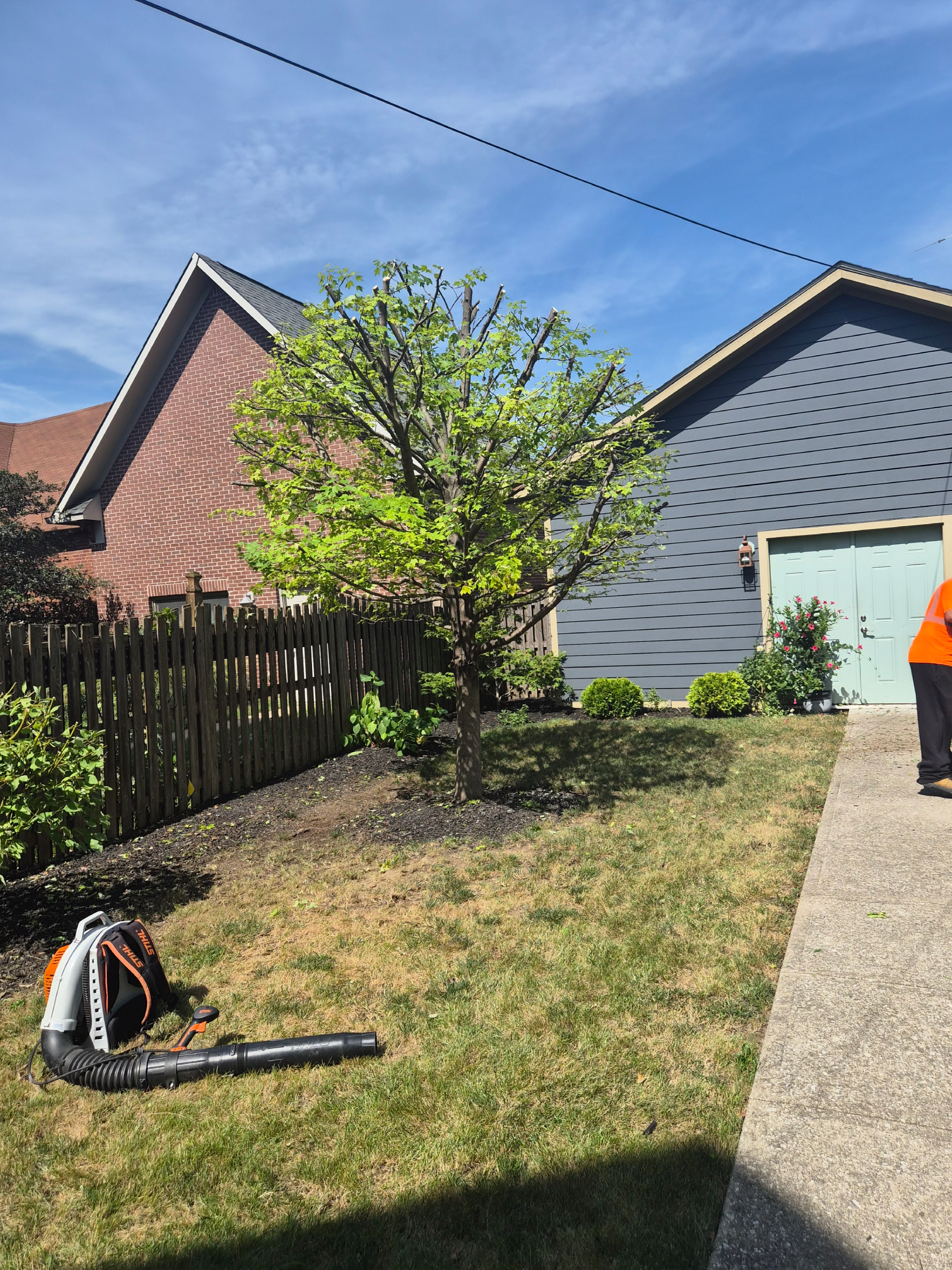 Backyard lawn with hedge trimmer, tree, and two houses under a blue sky; worker in orange at right edge
