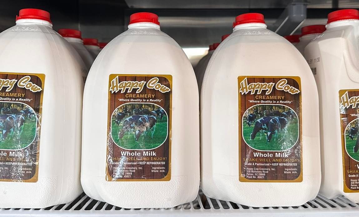 Gallons of Happy Cow whole milk on a store shelf. White jugs with red caps, brown labels.