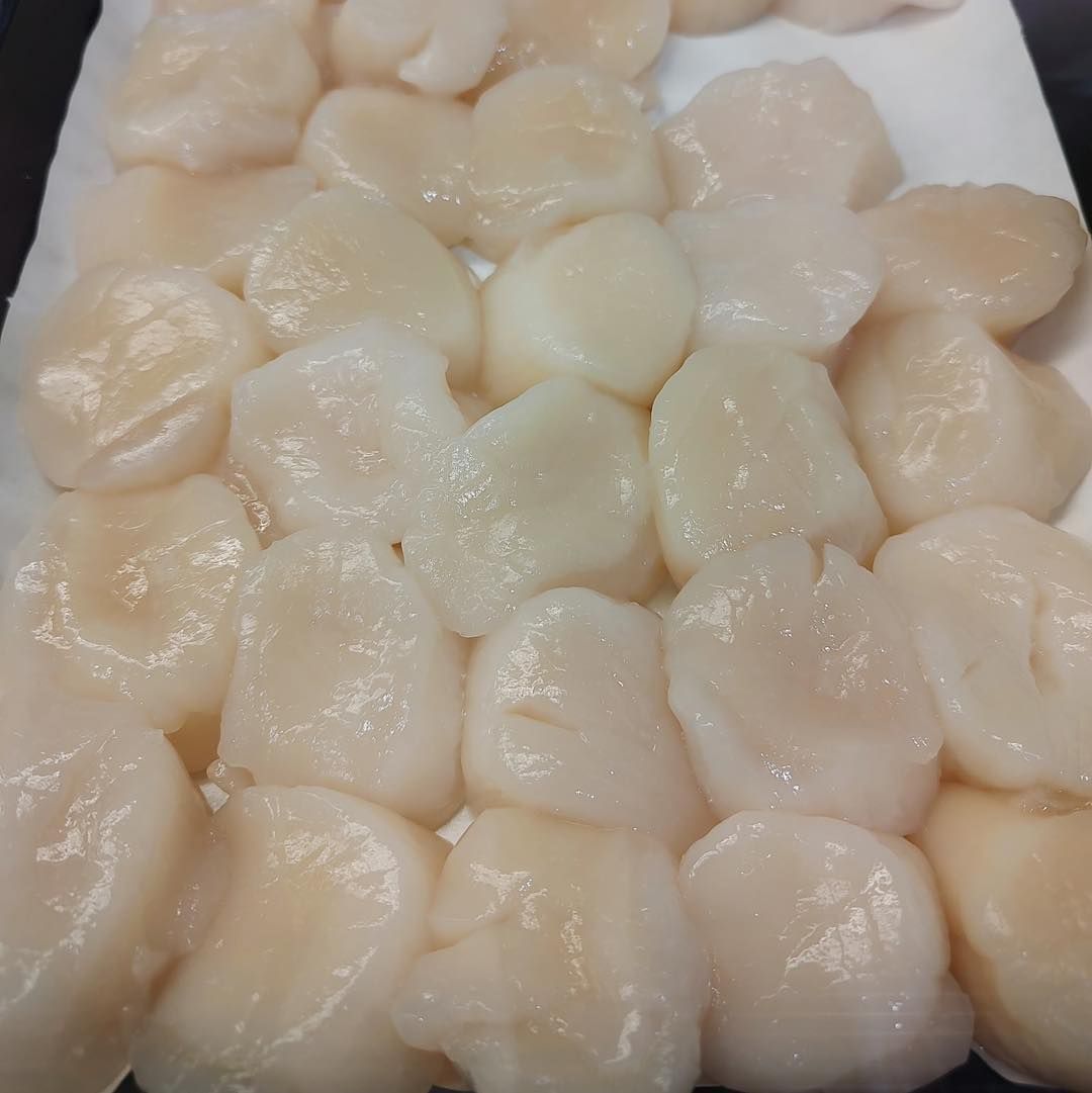 Raw scallops in a tray, close-up shot. Pale, round seafood, ready for cooking.