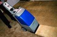 carpet scrubber