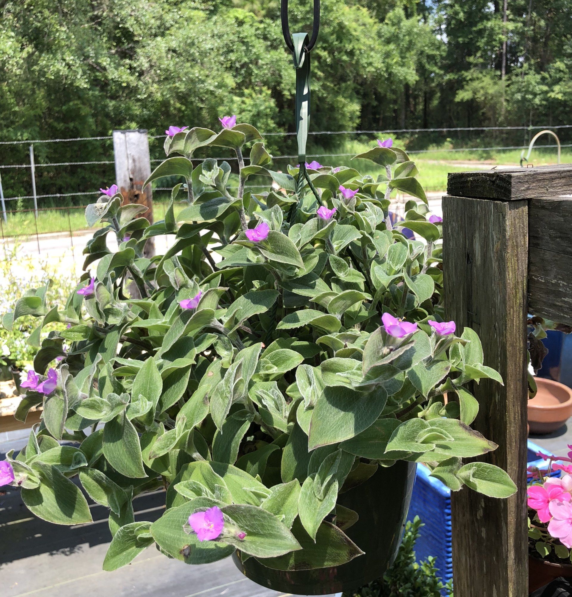 A Bloom Garden Center Landscaping Mobile, AL