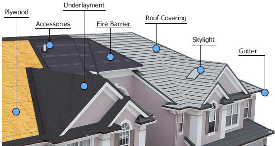 Anatomy of A Roof Structure