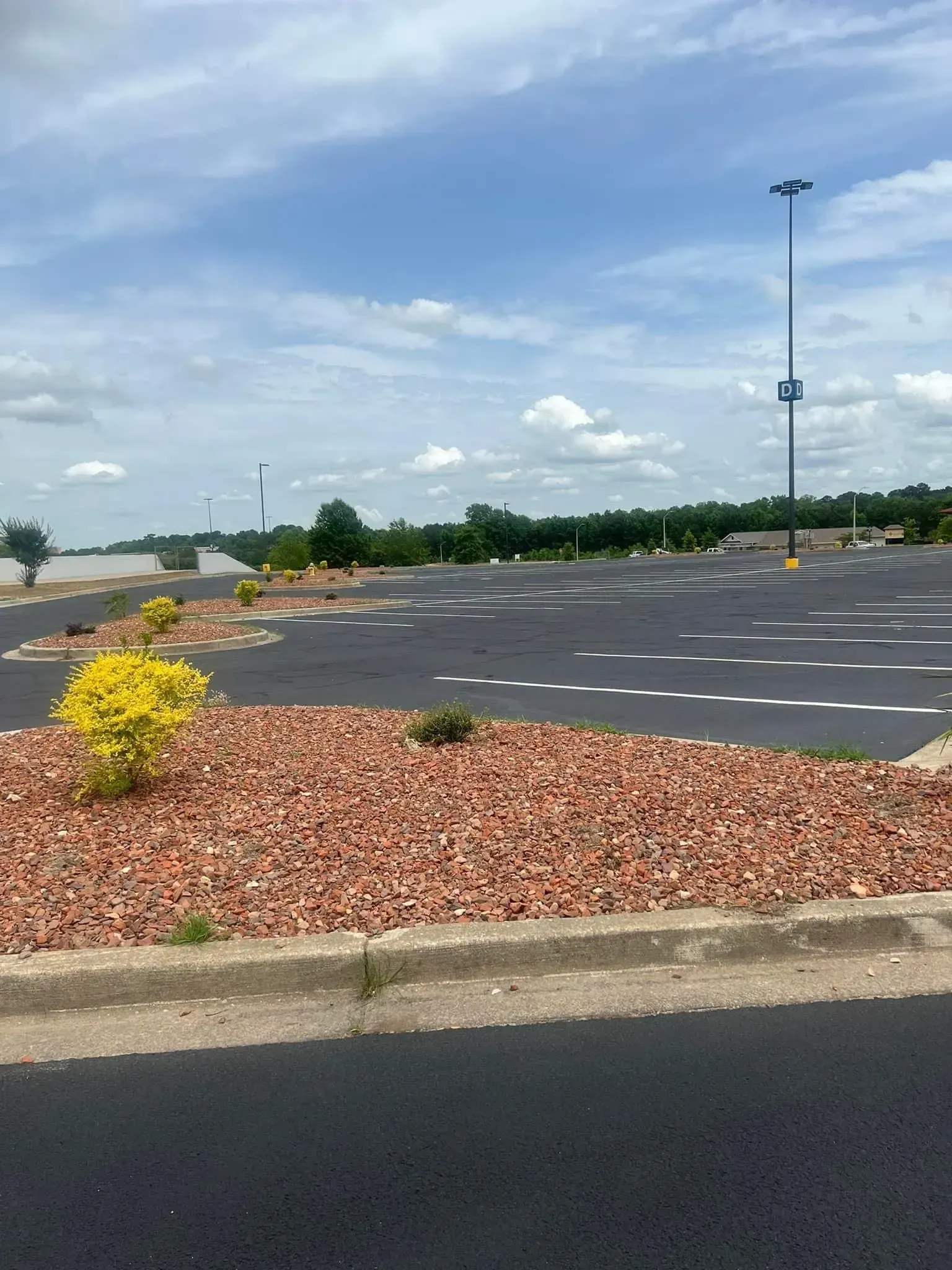 Empty parking lot with red mulch islands, a yellow shrub, and a tall light pole under a blue sky