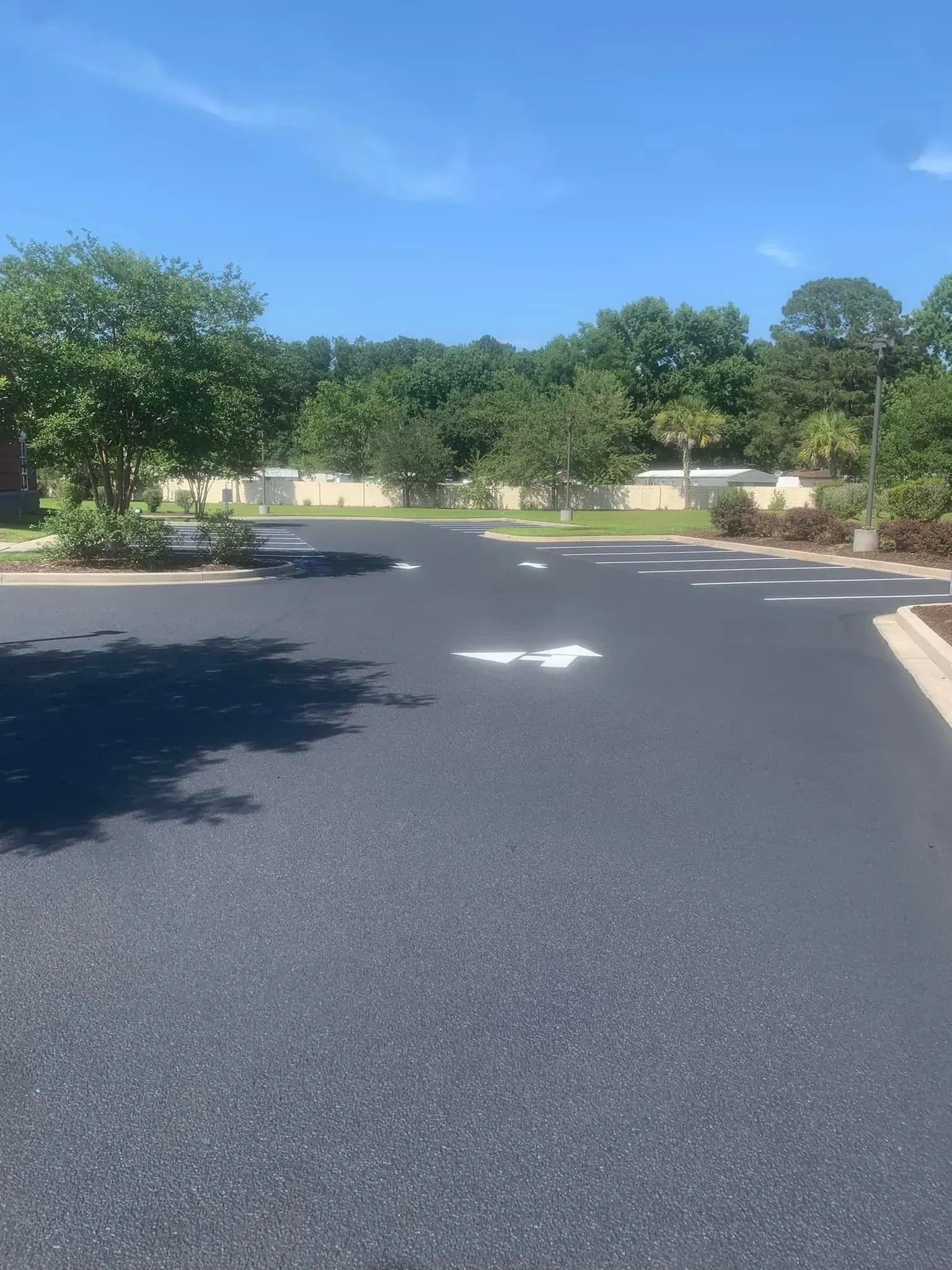 Empty asphalt road in a sunny parking lot, with trees and blue sky in the background.