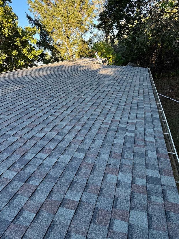 Shingled roof with gray and brown shingles, surrounded by trees in daylight
