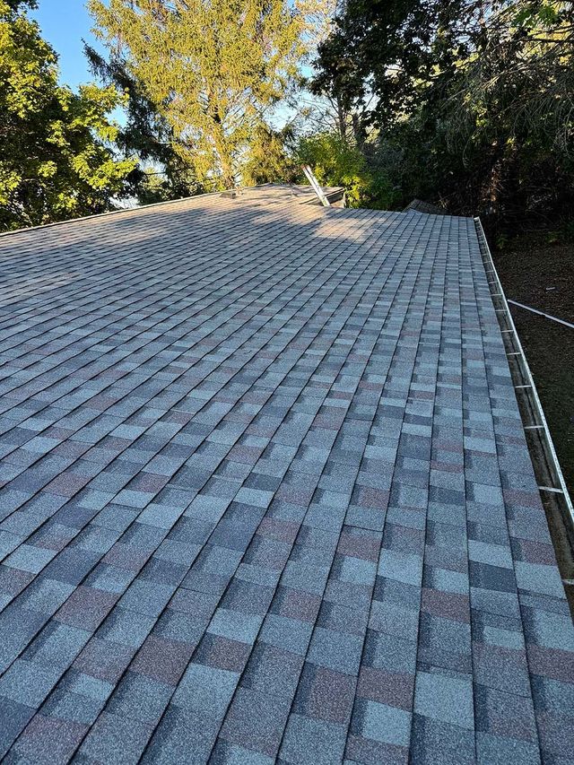 Shingled roof with gray and brown shingles, surrounded by trees in daylight