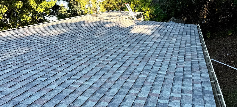 Brick-paved rooftop or patio with a low railing, surrounded by trees and sunlight