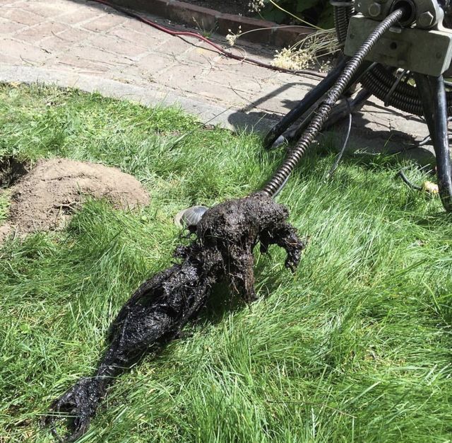 drainage removal
