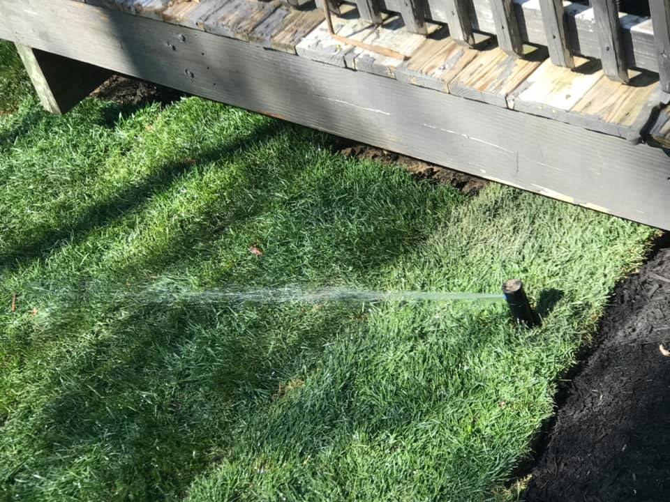 Rainmaker Irrigation & Landscaping - backyard after