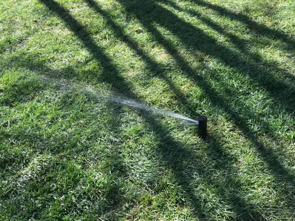 Rainmaker Irrigation & Landscaping - backyard after