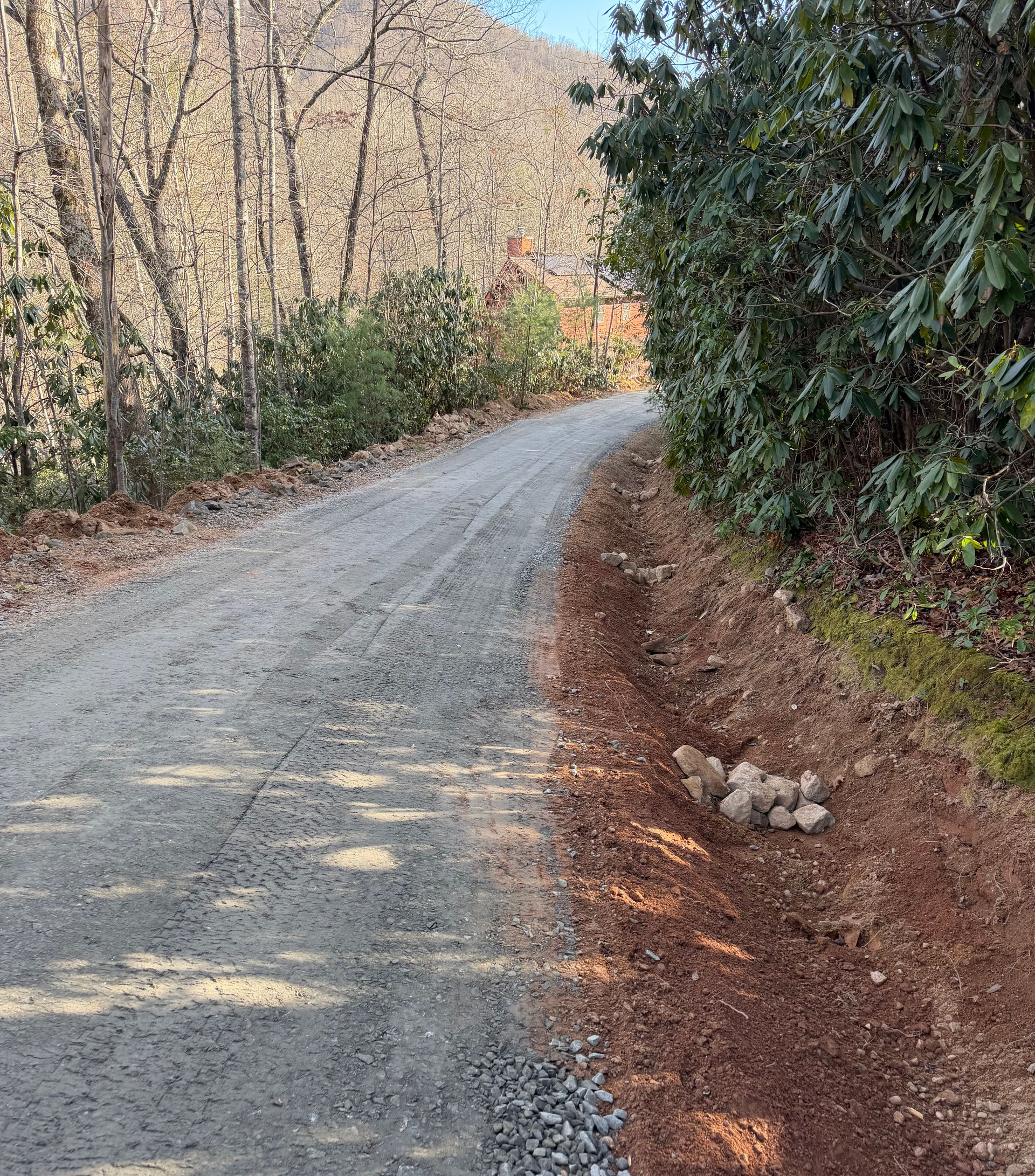 Gravel road winding through trees with a dirt shoulder and dense green shrubs