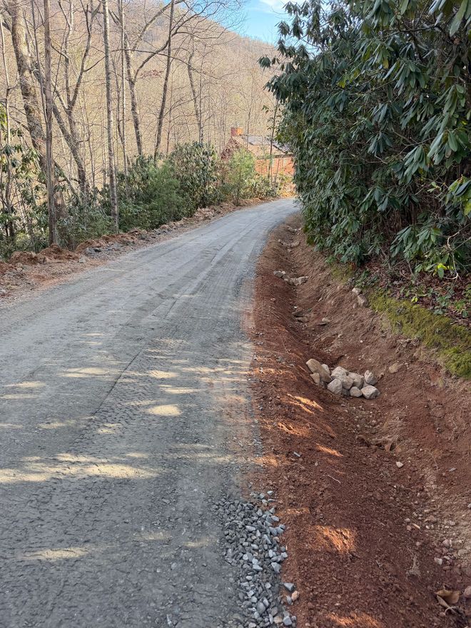 Gravel road curving through a wooded area with trees, shrubs, and fallen leaves along the edges