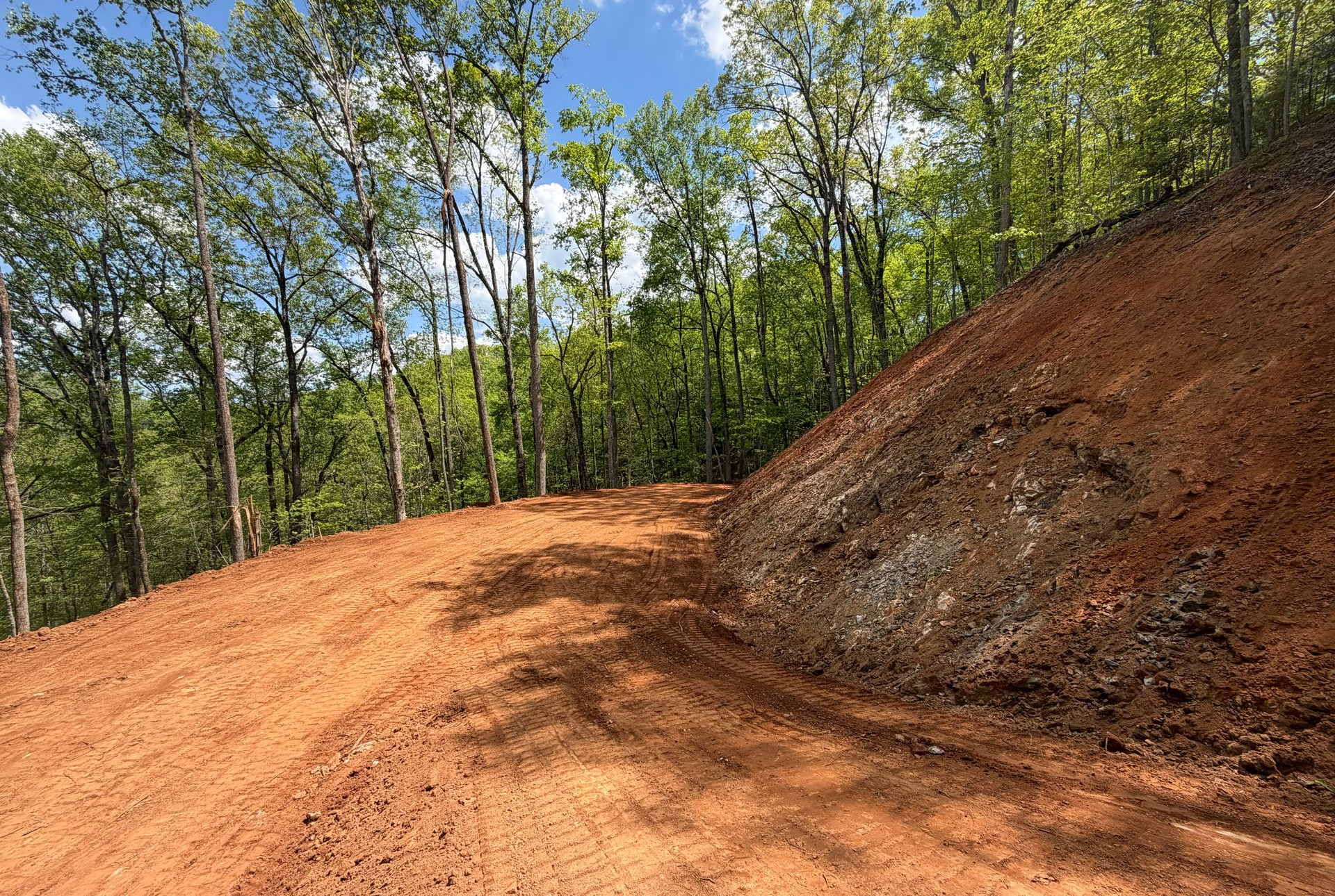 Dirt road beside a steep cut hillside in a wooded forest, with red clay and green trees.