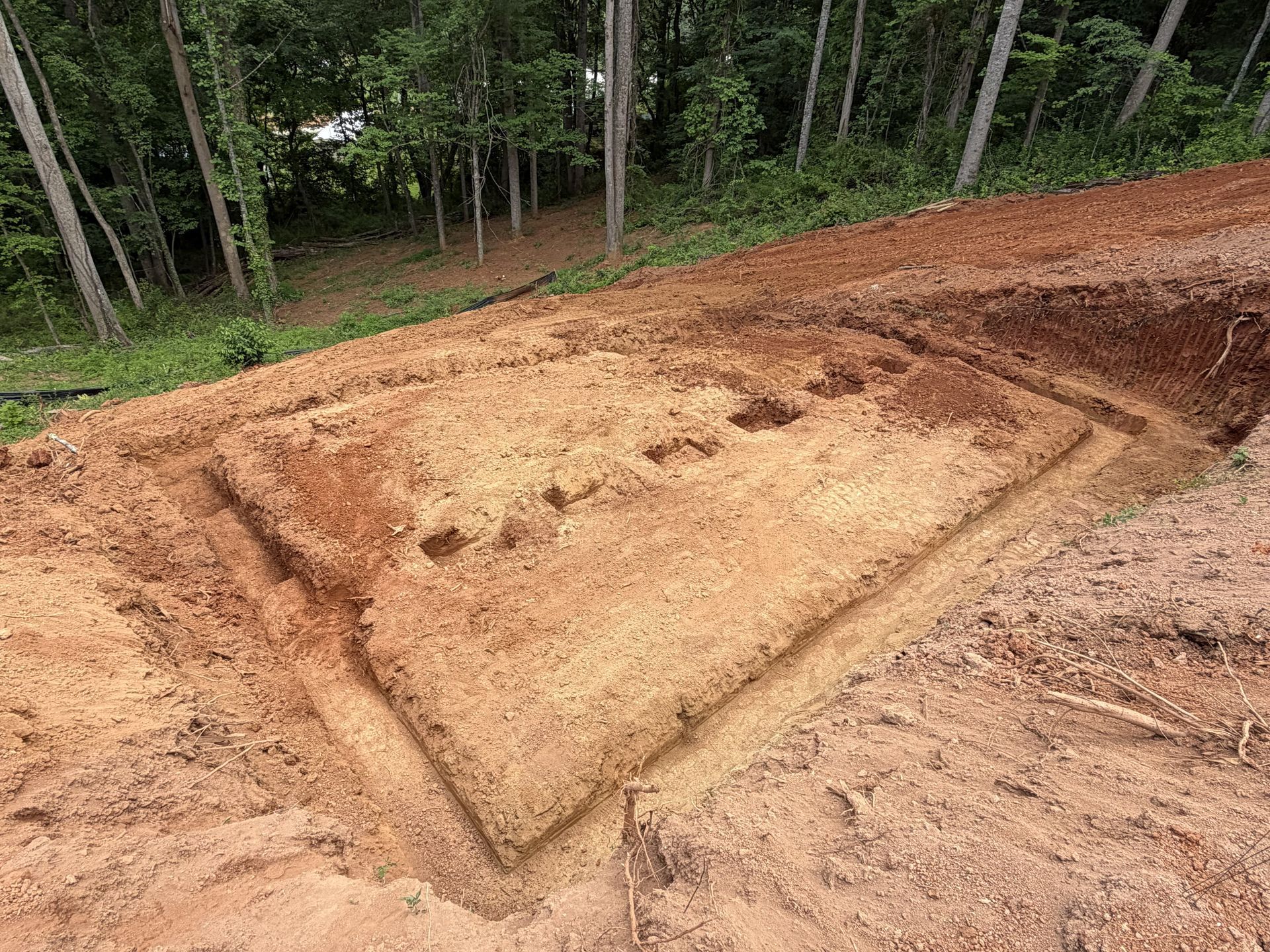 Freshly cut dirt embankment on a forest road beside tall trees