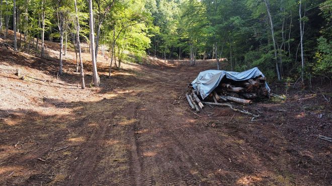 Dirt road in a wooded area with a tarp-covered pile on the right side.