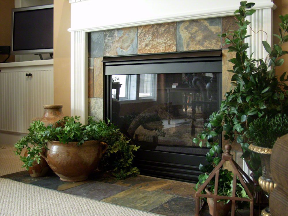 Fireplace with slate tile surround, glass door, and potted plants.