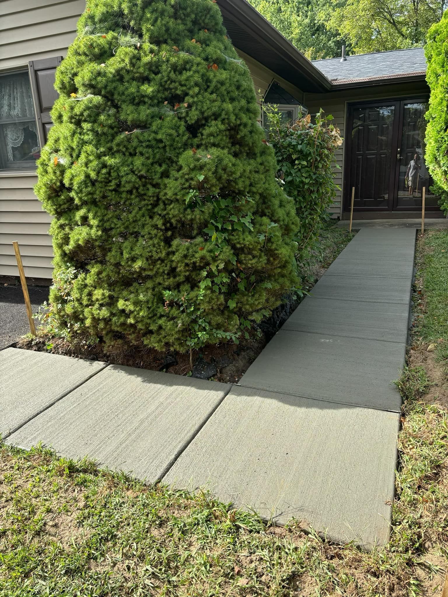 A concrete walkway leads to a dark double-door entrance, bordered by a large evergreen bush and a section of lawn.