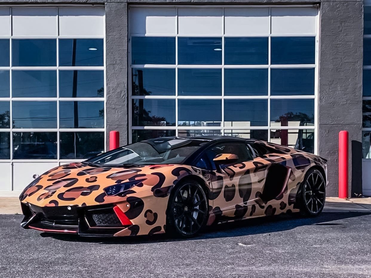 Leopard print Lamborghini sports car parked in front of a garage with a large glass door.