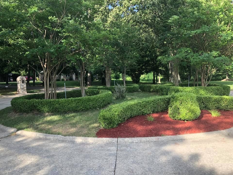 A park with a lot of trees and bushes and a concrete walkway