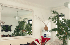 Custom Mirrors