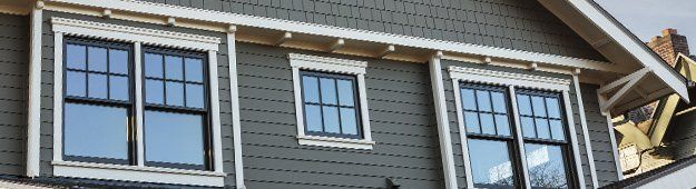 Home windows