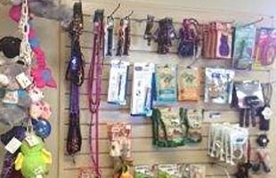 Pet Food and Supplies Cedar Rapids IA All Pets Veterinary Clinic