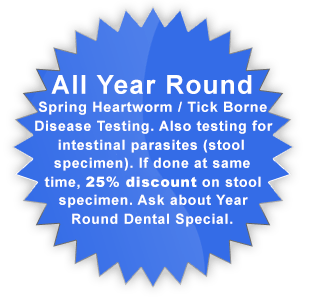All Year Round heartworm tick borne testing!