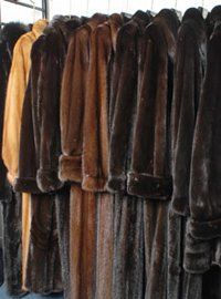 Fur wearing