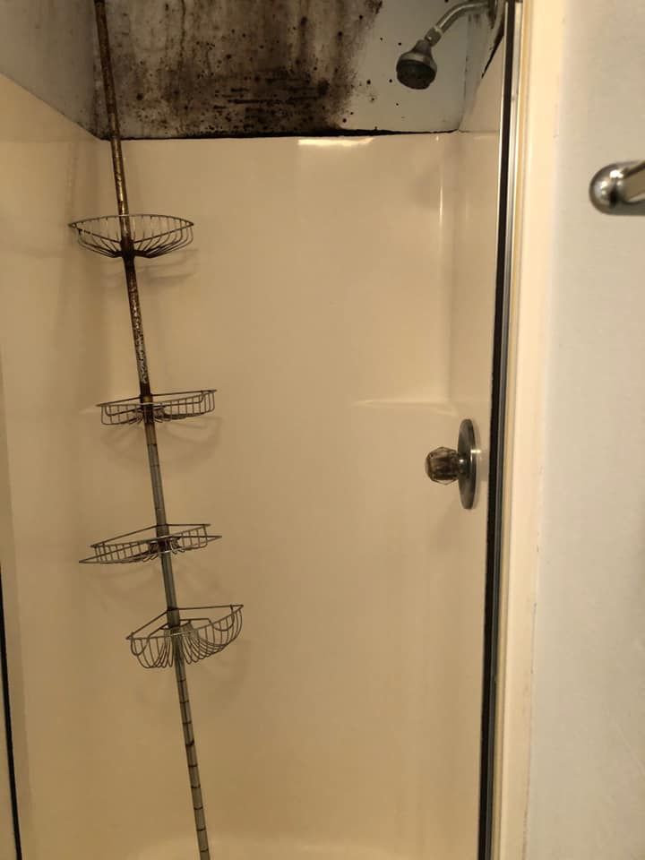 Shower stall with mold at the top; wire shelf hangs on the side.