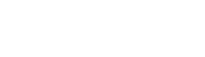 Bright Light Enterprises Logo