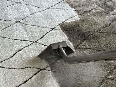 Carpet Cleaning
